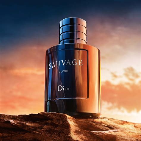 dior sauvage que olor tiene|sauvage dior fragrantica.